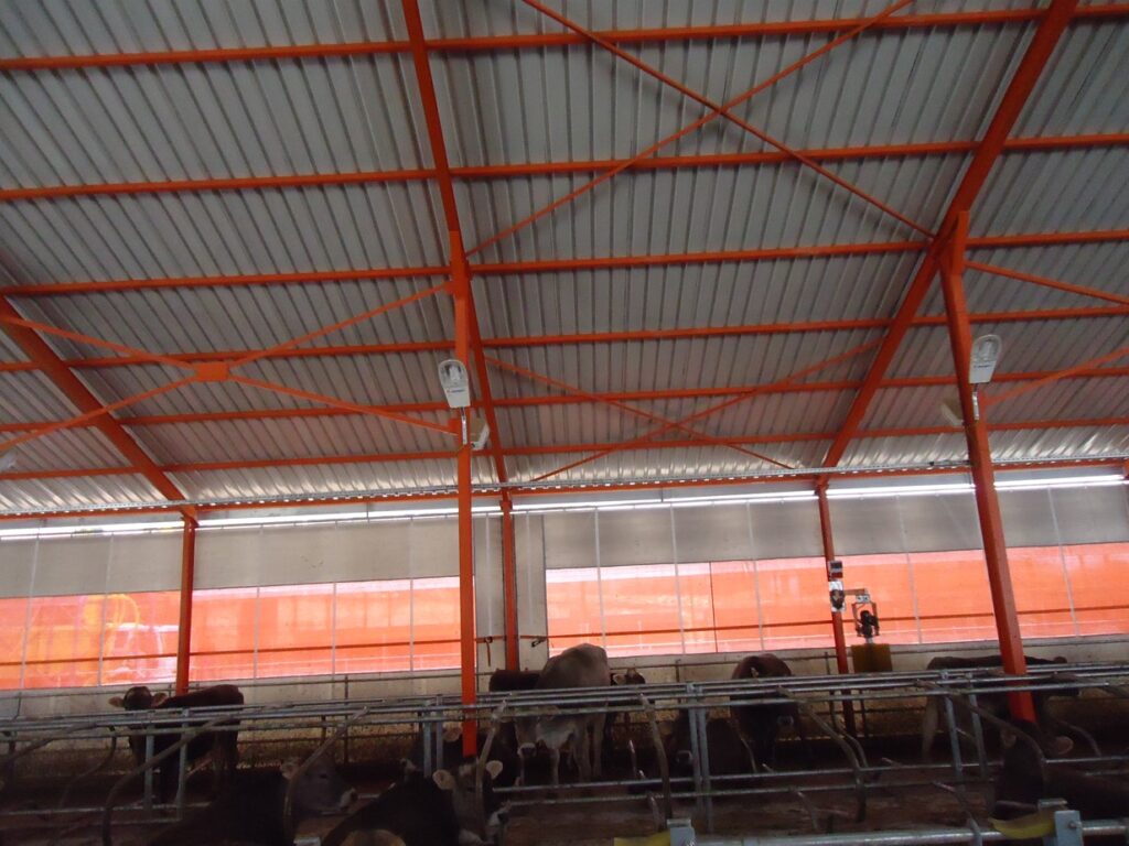 Akif Tirin Kocapinar10