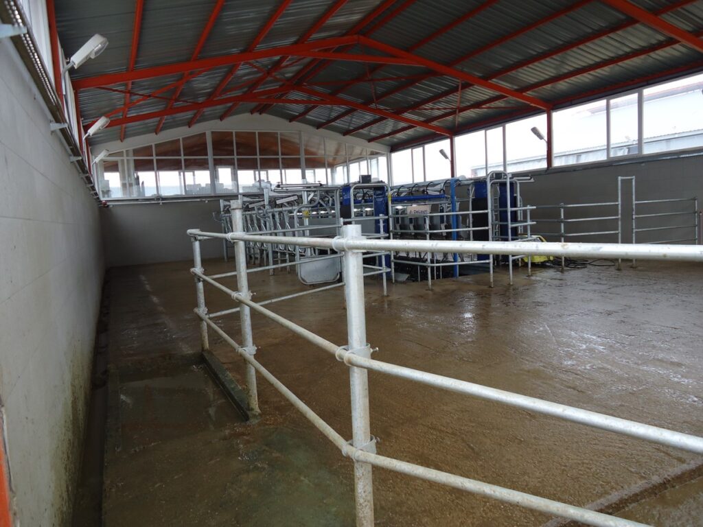 Akif Tirin Kocapinar11