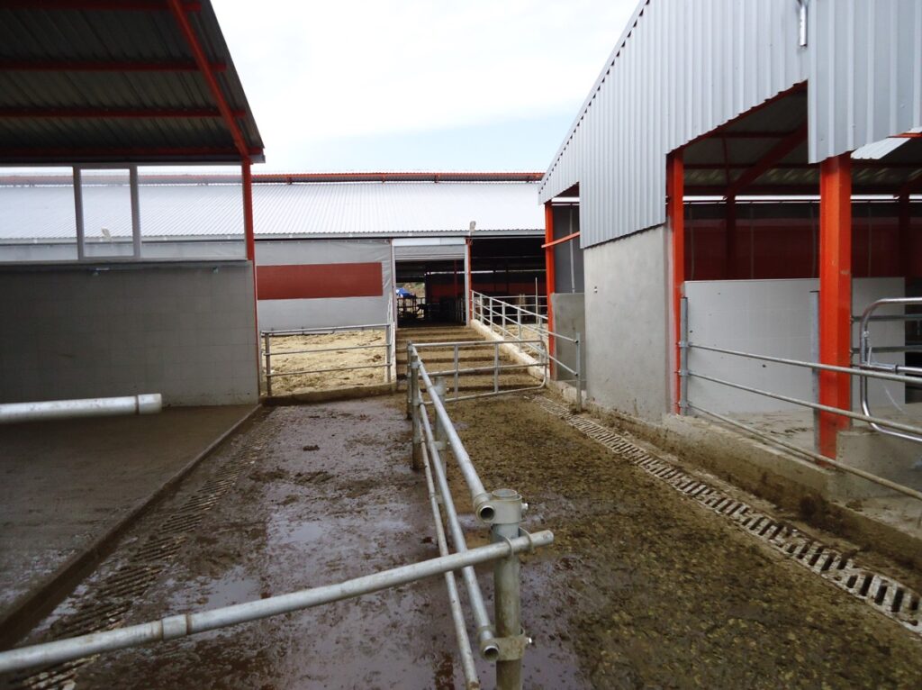 Akif Tirin Kocapinar12