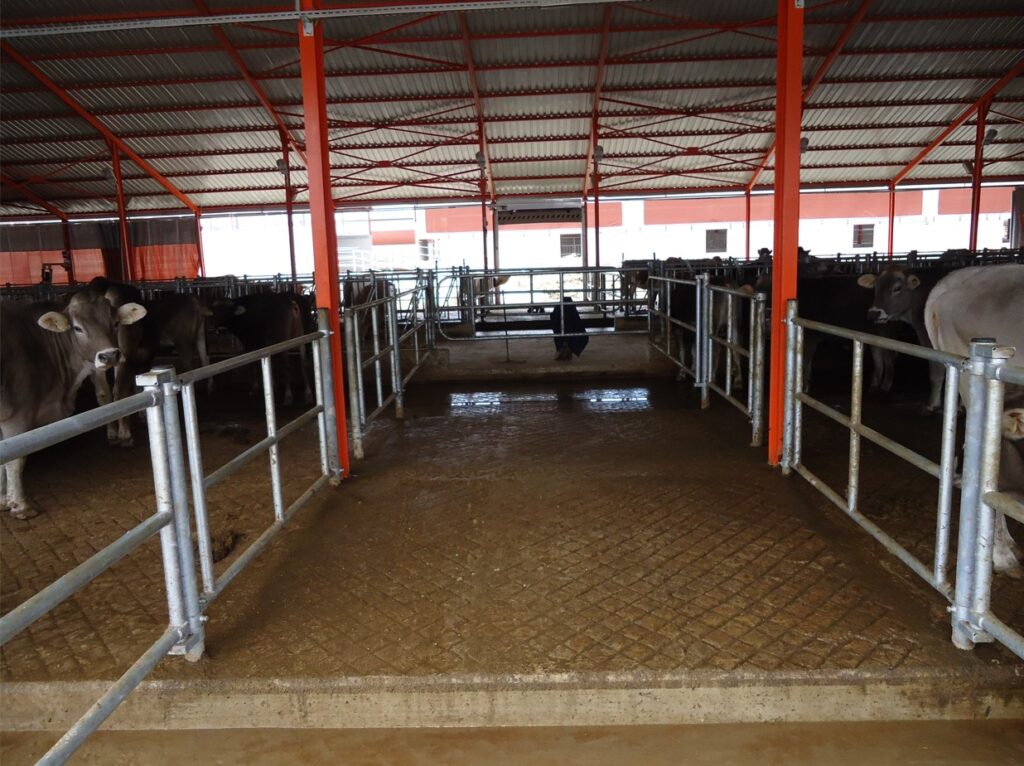 Akif Tirin Kocapinar7