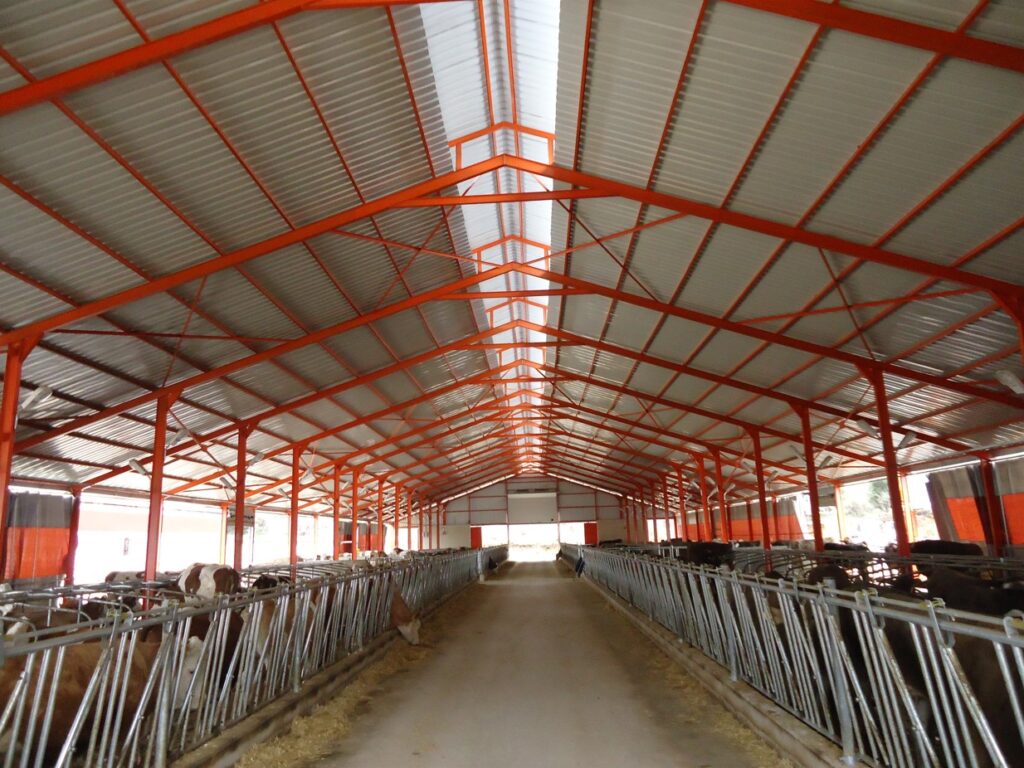 Akif Tirin Kocapinar8