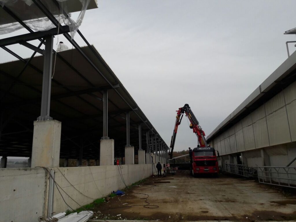 Topbas Ciftligi Manda Ciftligi 3