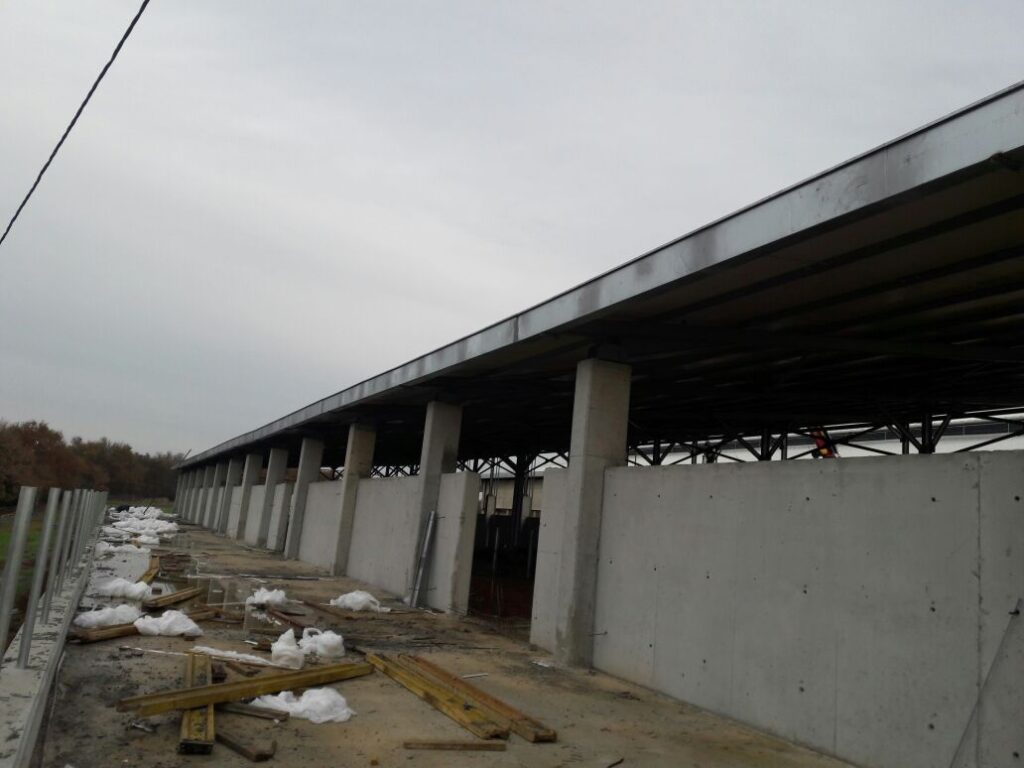 Topbas Ciftligi Manda Ciftligi 8